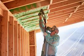 Best Eco-Friendly or Green Insulation Solutions  in Orleans, IN