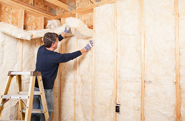 Best Attic Insulation Installation  in Orleans, IN